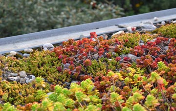 the cost of Bobbington green roof installation