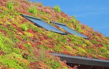 Bobbington living roof systems