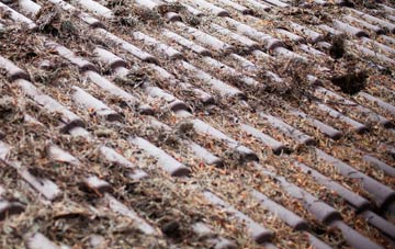 Bobbington roof cleaning companies