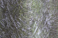 Bobbington fibreglass roof work